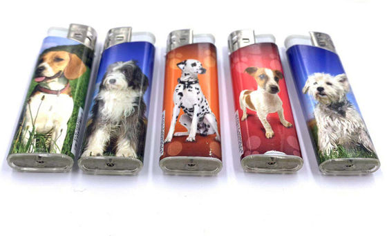 L'allumeur à cigarettes jetable en plastique transparent, à gaz rechargeable