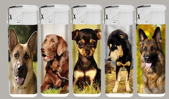 Taille de carton 43*26*27cm allume-cigare en plastique rechargeable avec étiquette en PVC et style flamme