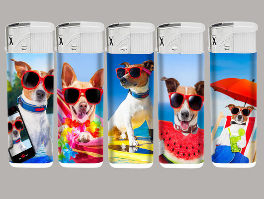 Appareil de cuisine électrique rechargeable Animals Metal Case personnalisé Appareils vidéo Metal Windproof
