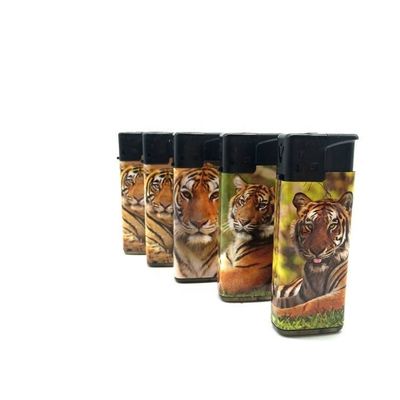 Torche à étiquette tigre personnalisée pour le marché européen et américain Modèle NO. DY-F007 Torche